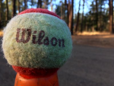 Yo, Wilson, Aren't You Supposed to be on an Island?