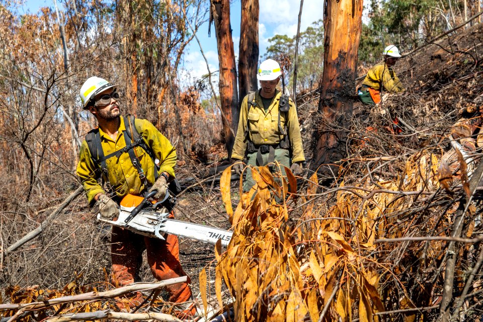 US firefighters in Australia