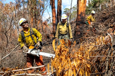 US firefighters in Australia photo