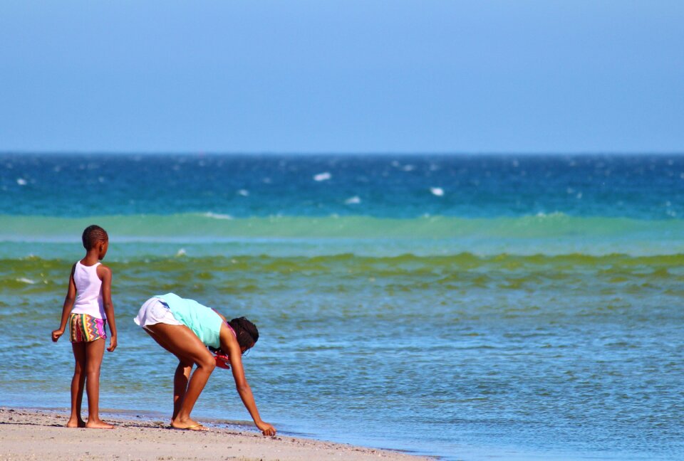 Beach sea shell seekers
