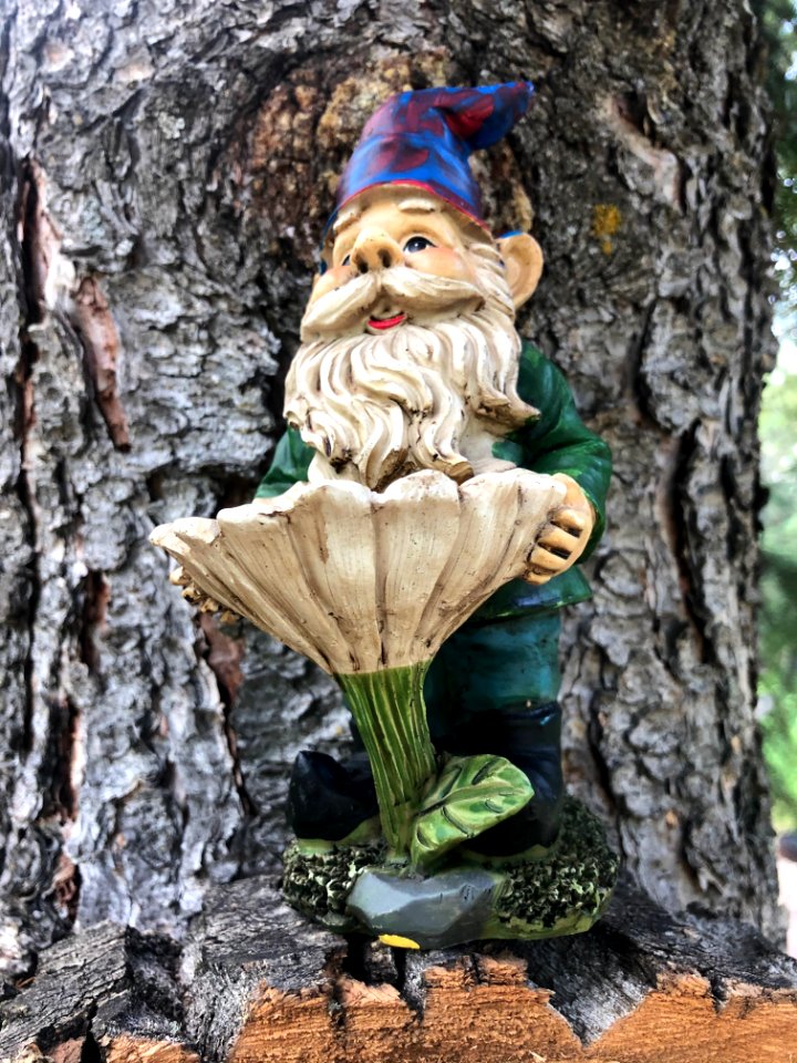 Oh Gnome!