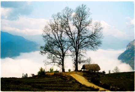 Ngày mới trên mây