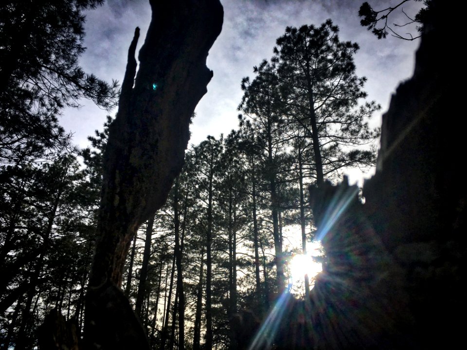 Catch The Sun
