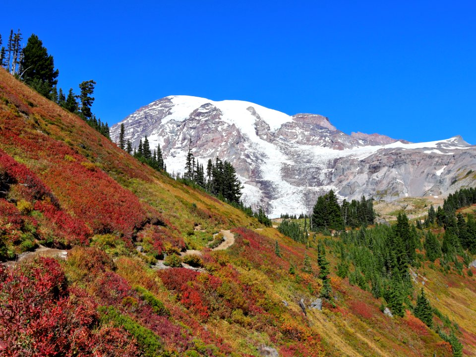 Autumn at Mt. Rainier NP in WA