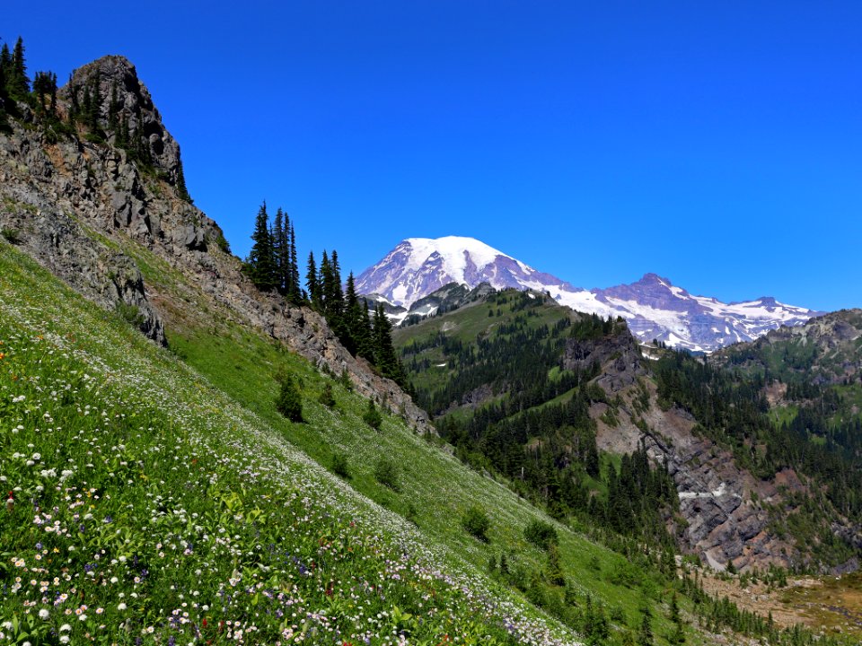 Tatoosh Ridge in WA