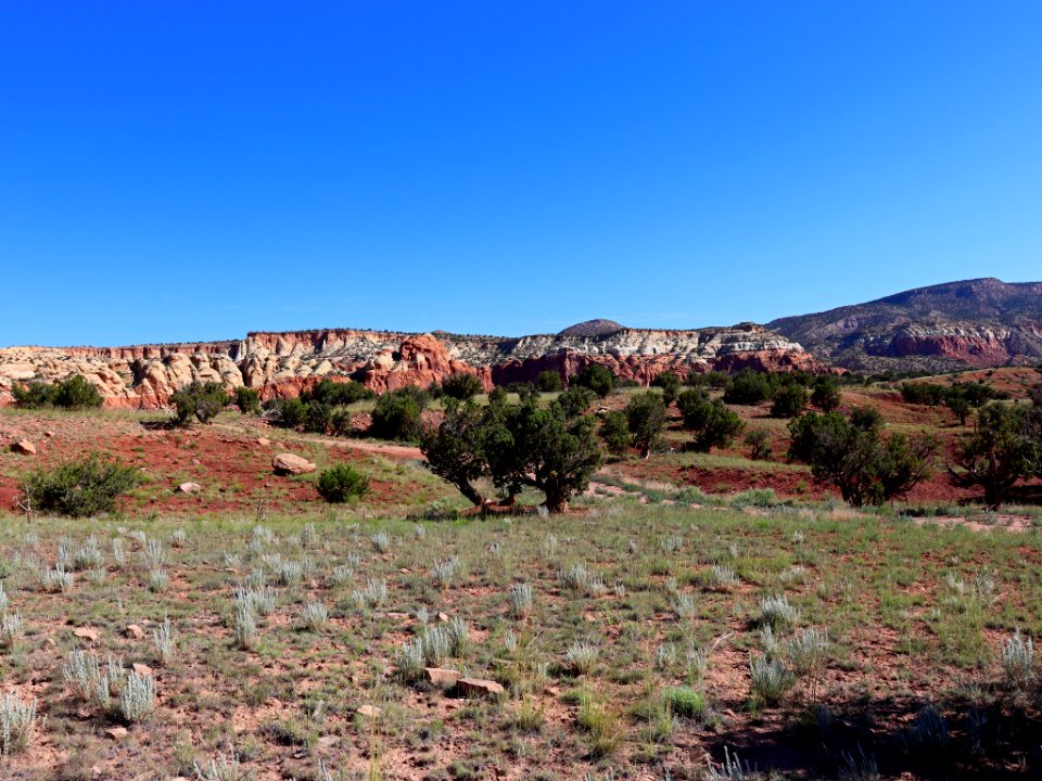 Landscape in New Mexico