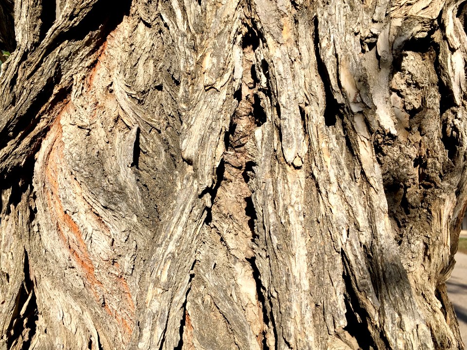 Time and Texture