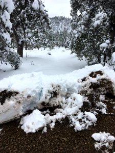 End of The Plowed Road