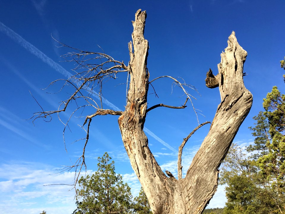 Slingshot to the Sky