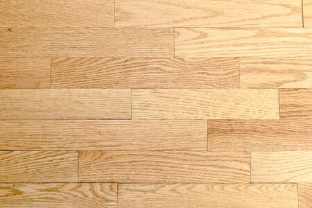 Light floor wood floor