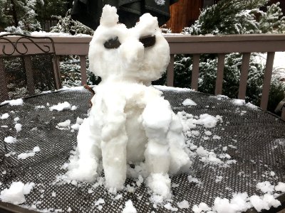 The First Snow Dog