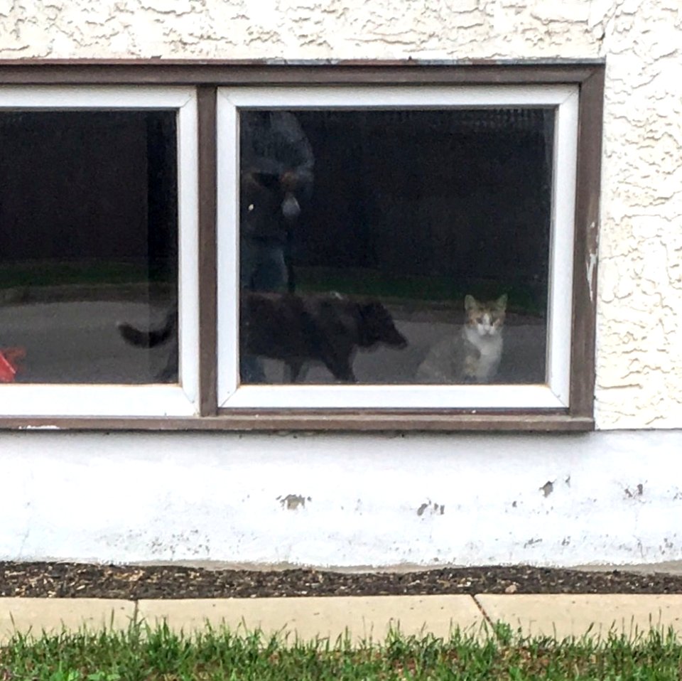 Inside vs Outside