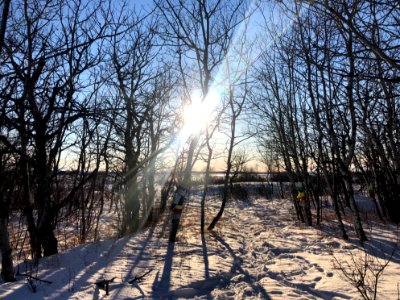 On a Winters Day