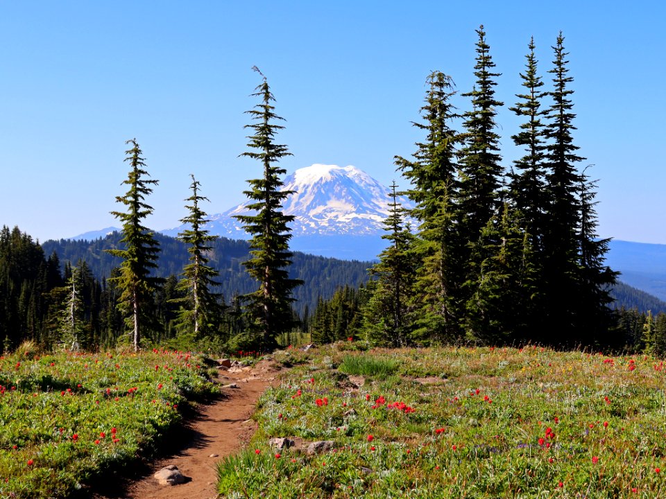 Goat Rocks Wilderness in WA