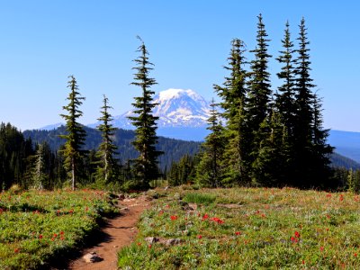 Goat Rocks Wilderness in WA