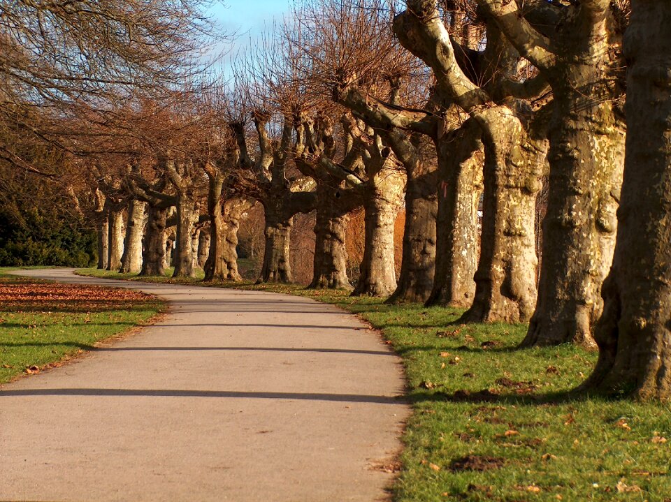 Green road outdoor