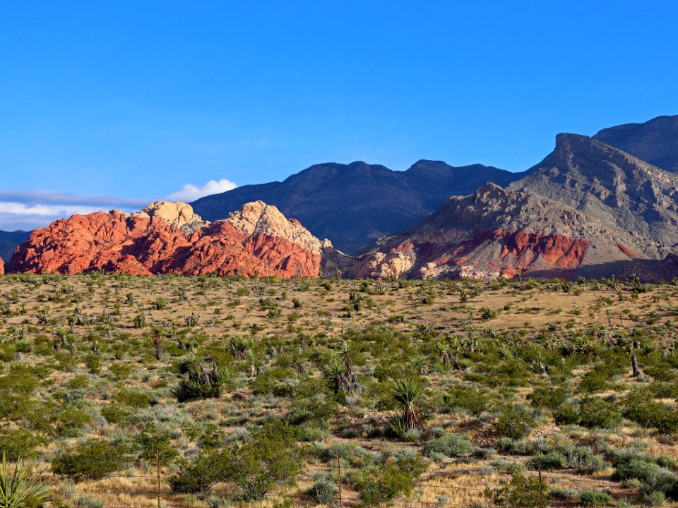 Red Rock Canyon in NV
