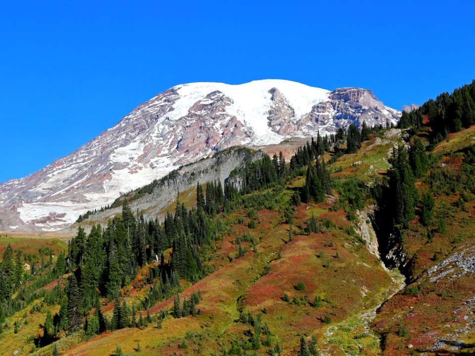 Mt. Rainier NP in WA