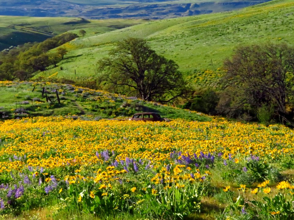 Dalles Mountain Ranch in WA