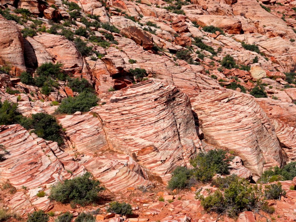 Red Rock Canyon in NV