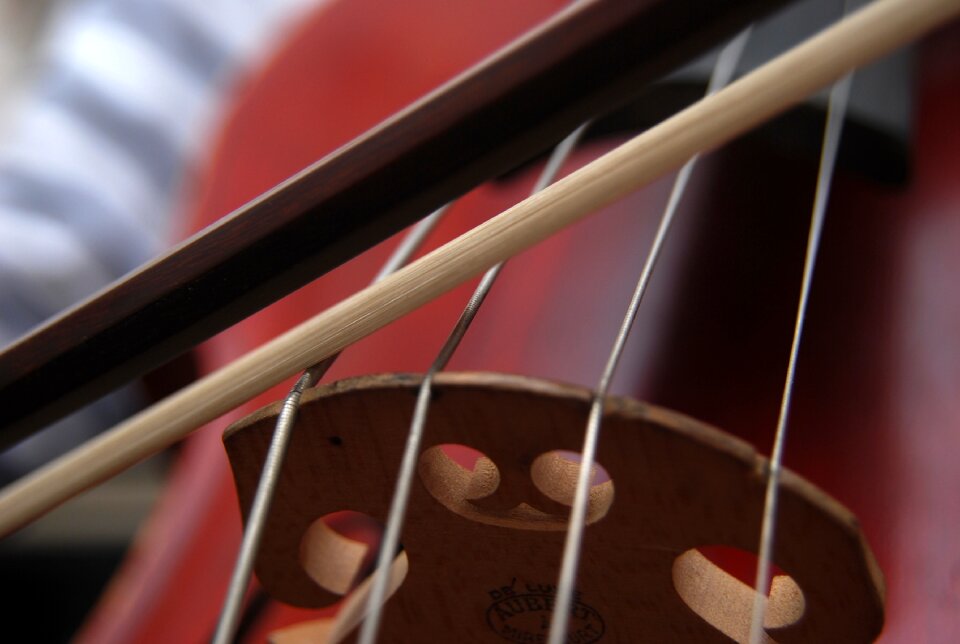 Strings classical music bow
