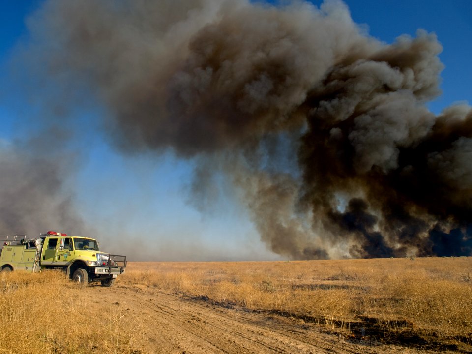 BLM Works to Improve the Health of the Land