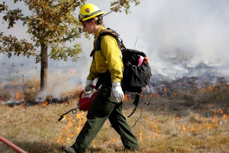 Prescribed Burn Helps Wildlife photo