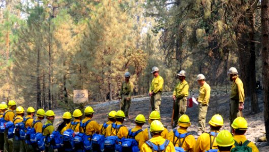 BLM Veterans Train the Military