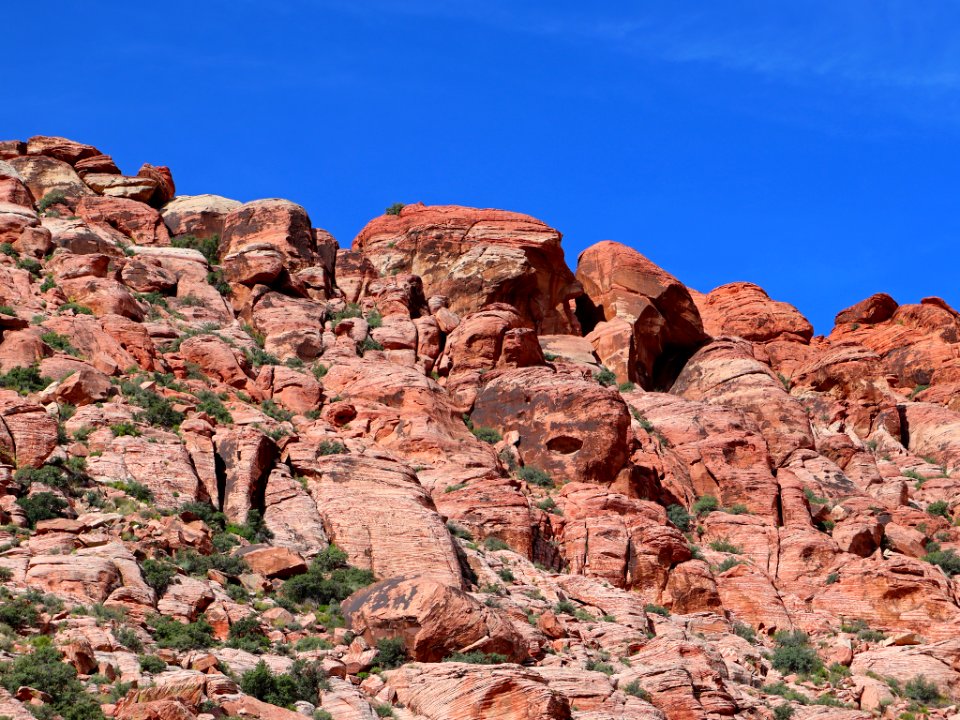 Red Rock Canyon in NV