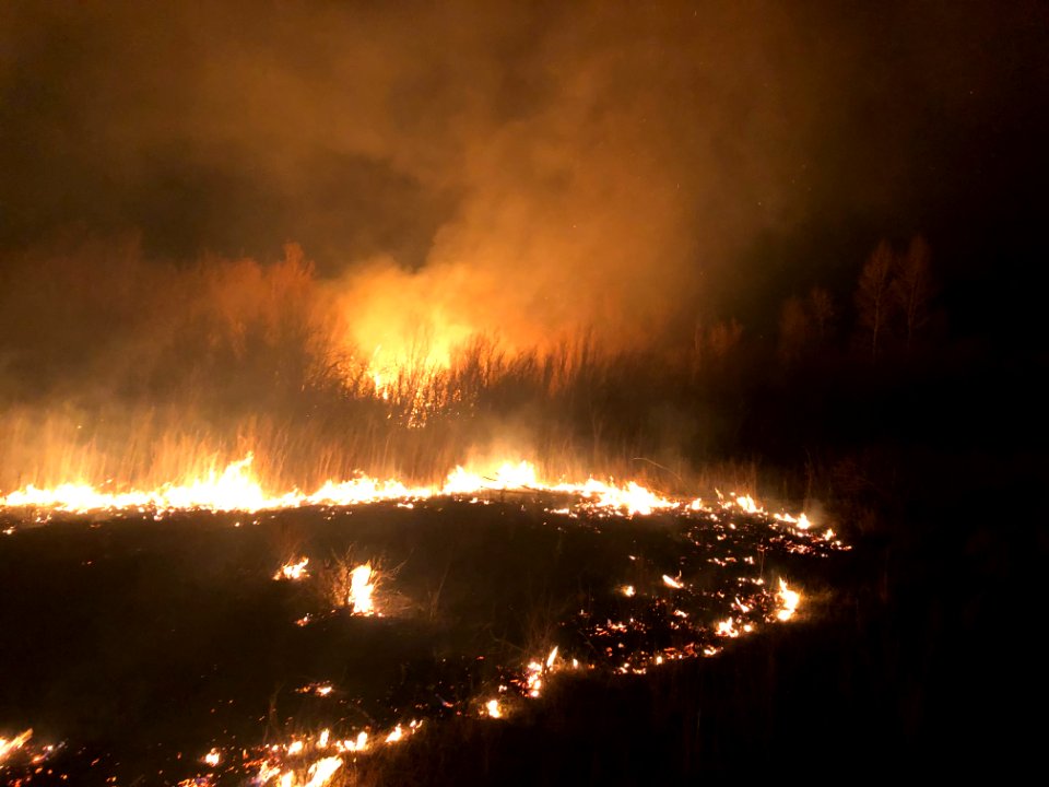 Walker Levee Fire
