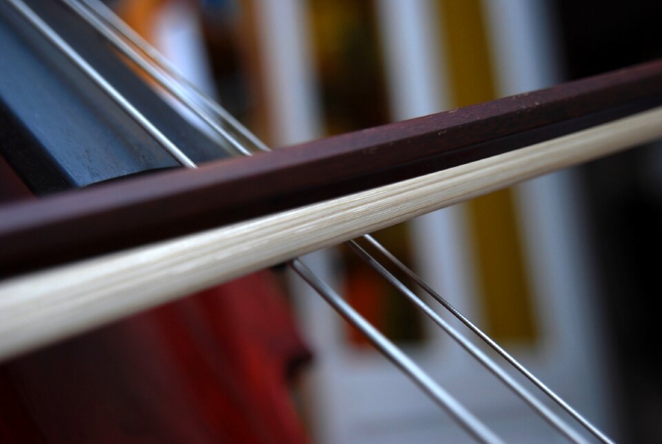 Strings classical music bow