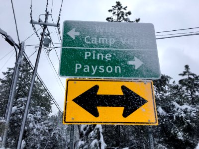 Which Way to Go?