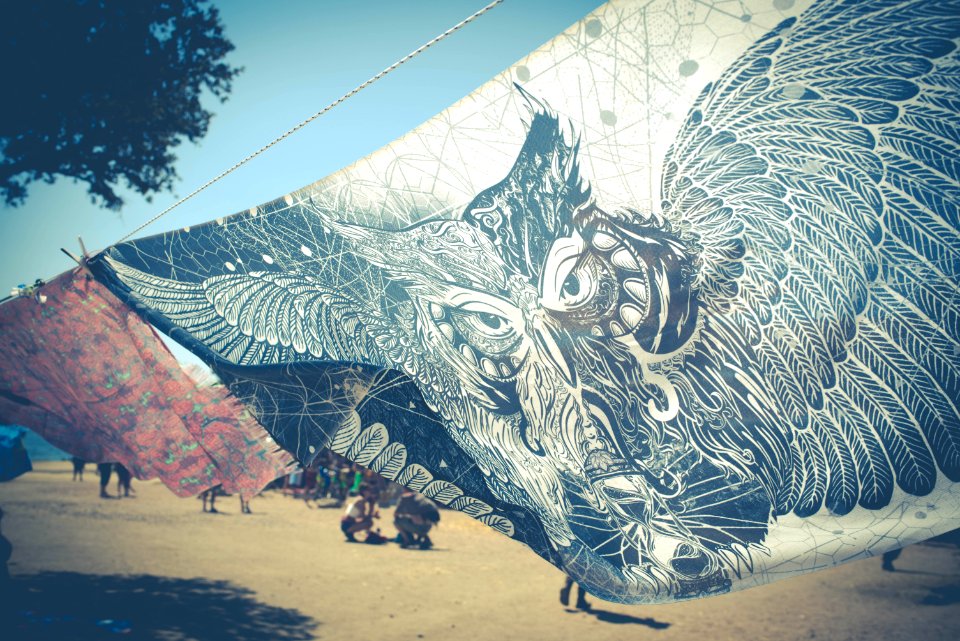 Foto by Aga Boom Festival 2016 (88 of 177)