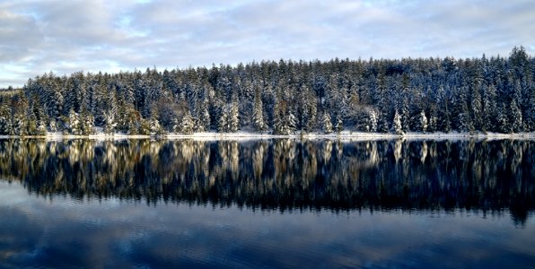 Ardennes