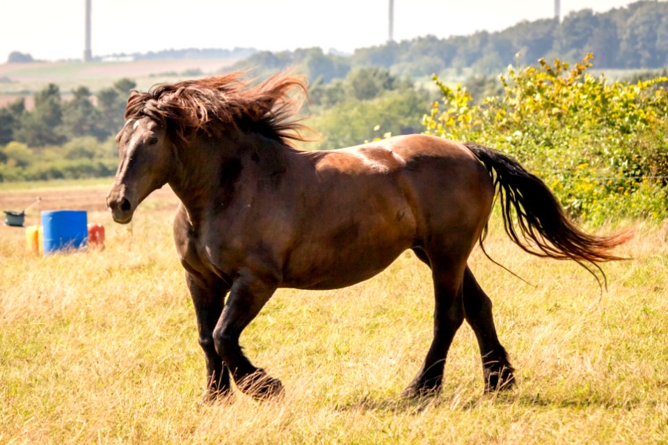 Landleben in Nordhessen