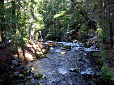 Cold Spring Creek in OR