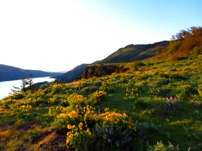 Rowena Crest in OR photo