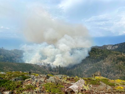 Salmon Fire