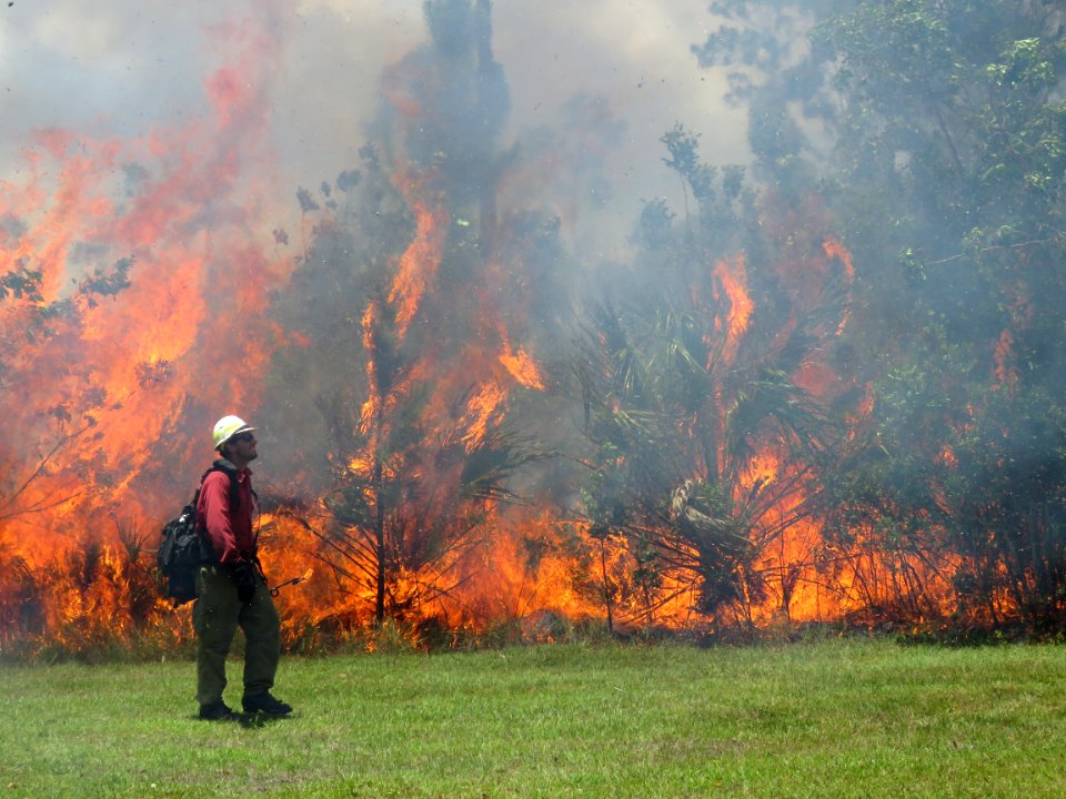 Monitoring Prescribed Fires