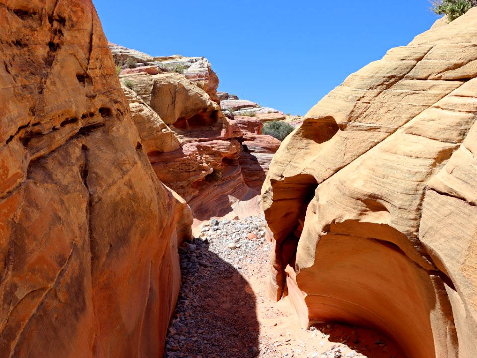 Pink Canyon at Valley Of Fire SP in NV