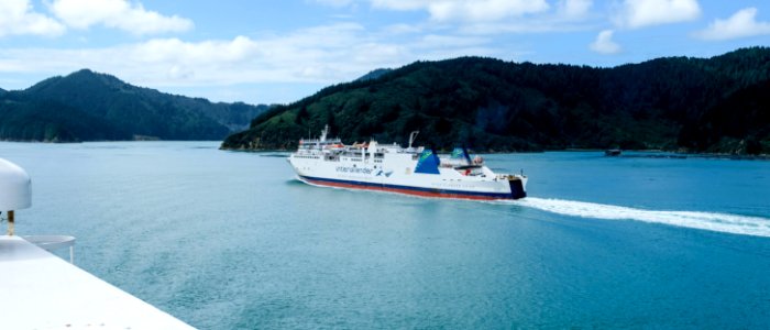 In Den Fjords Vor Picton