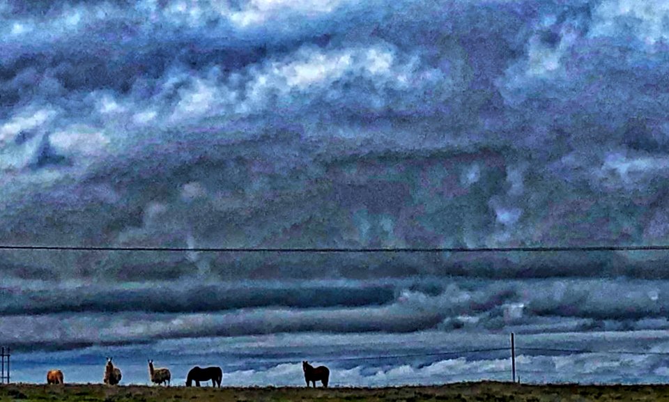 Five on the Horizon