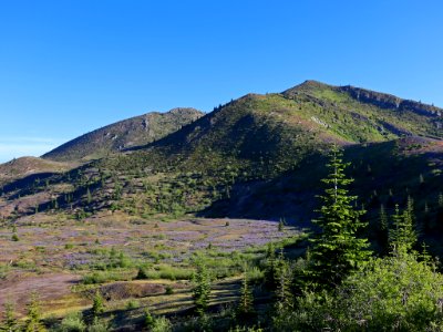 Mt. Margaret Backcountry in WA
