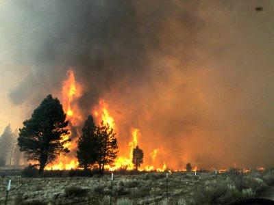 Ponina Fire photo