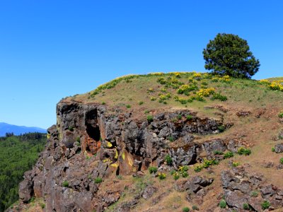Coyote Wall Trail in WA