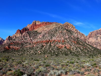 Red Rock Canyon in NV