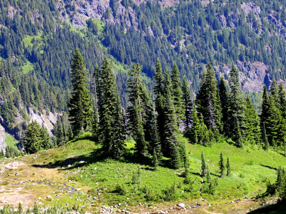 Tatoosh Ridge in WA