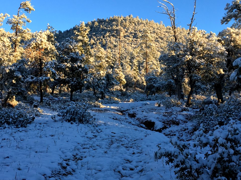 Not Most People's Image When I Say I Live in Arizona