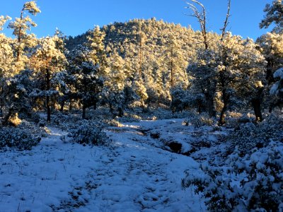 Not Most People's Image When I Say I Live in Arizona