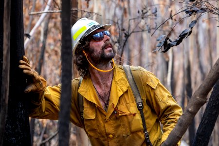 US Task Force faller sizing up hazard trees